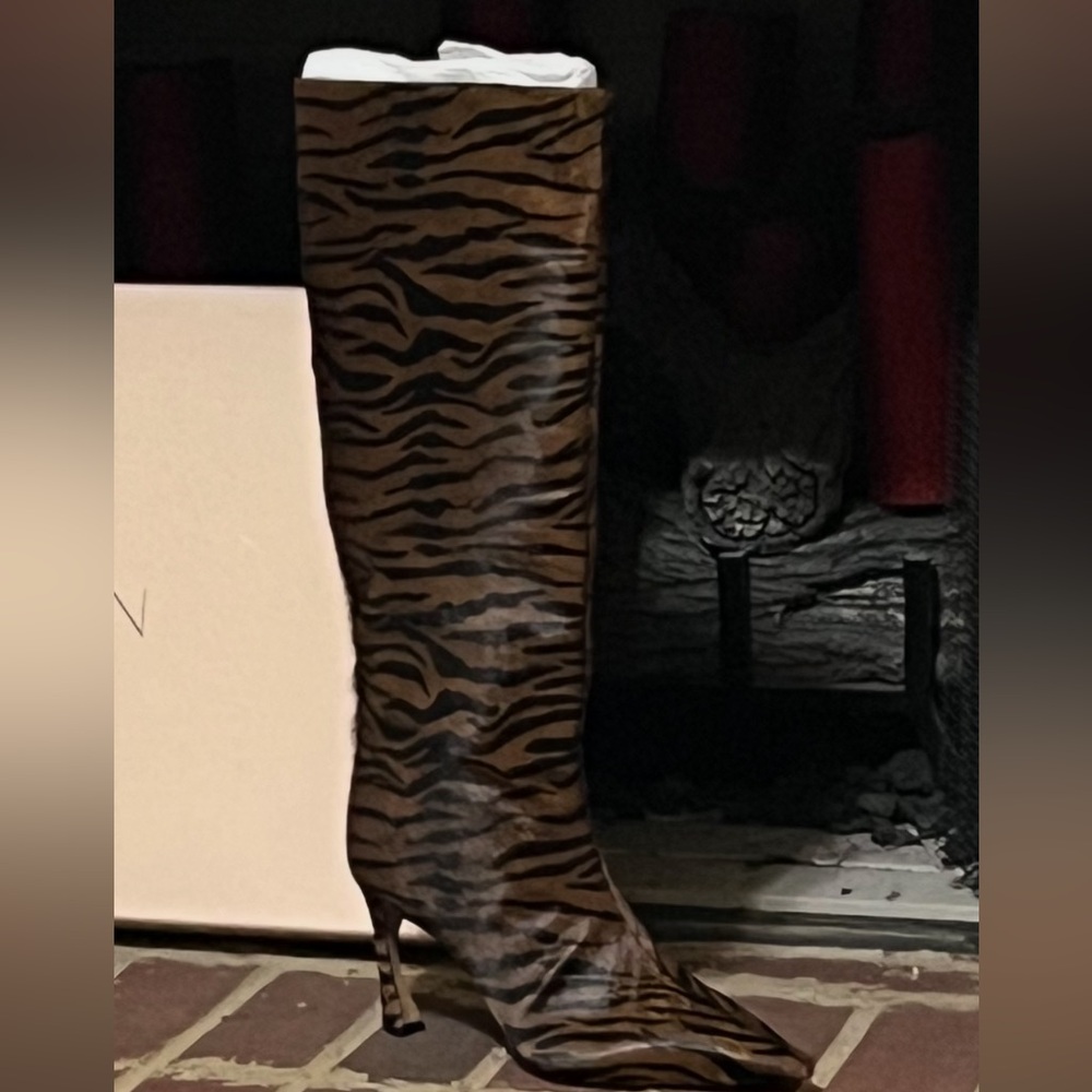 Alexandre Birman 2025 Boots